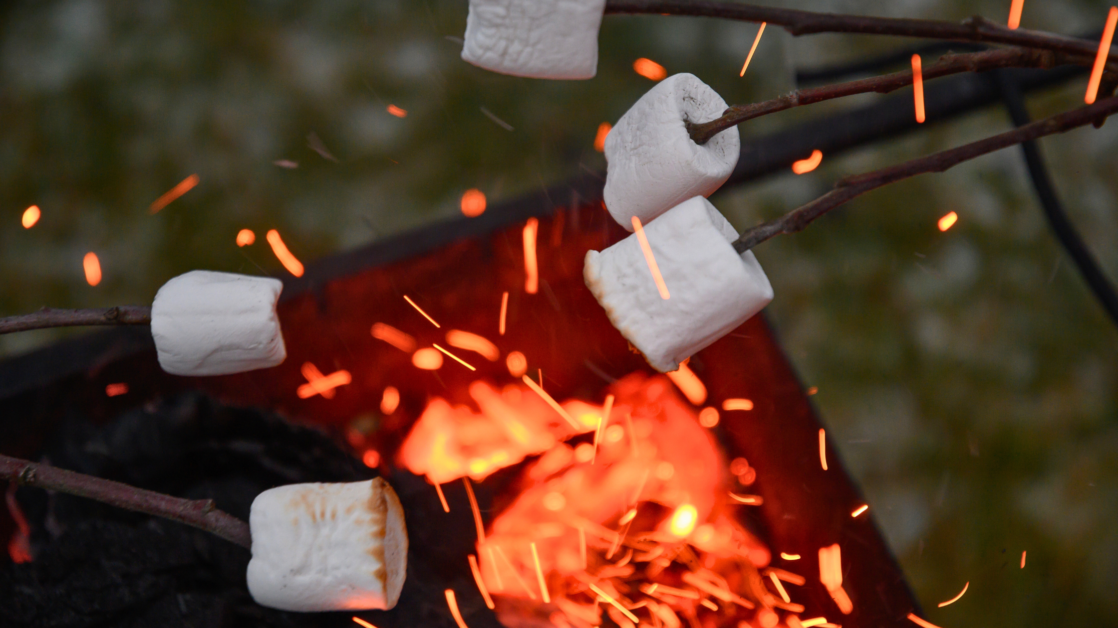 Roasting marshmallows over campfire